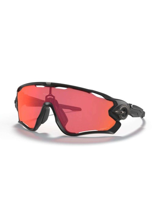 Óculos de Sol Oakley 009290