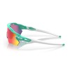 Óculos de Sol Oakley OO9208