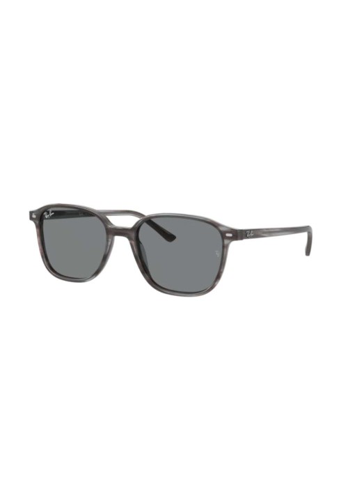 Óculos de Sol Ray-Ban Leonard RB2193