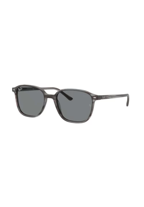 Óculos de Sol Ray-Ban Leonard RB2193