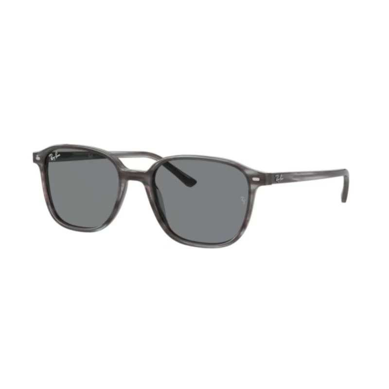 Óculos de Sol Ray-Ban Leonard RB2193